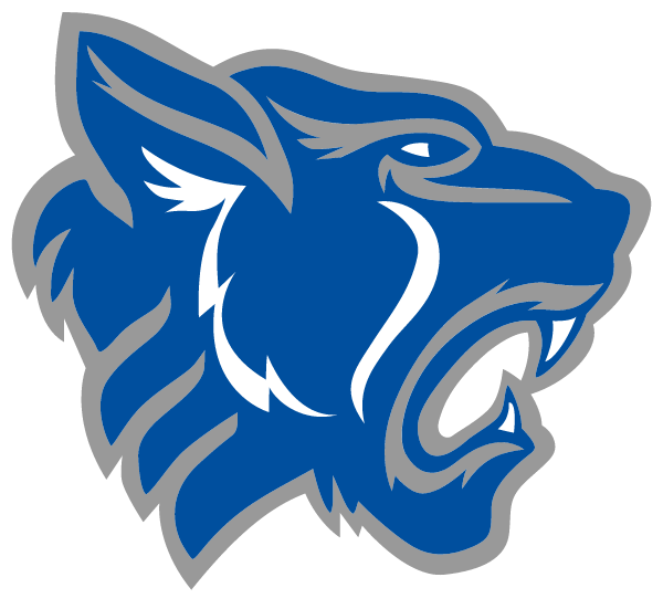 San Antonio Academy Logo