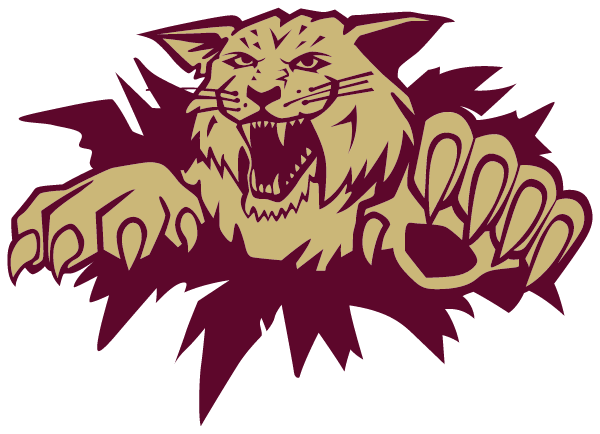 Hunter-Tannersville CSD Logo