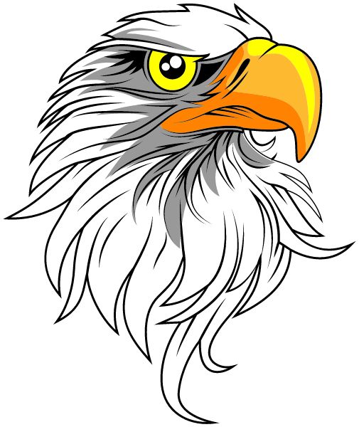 Chapman School Eagles (Anchor Point, Alaska) Spirit Apparel & Accessories Store