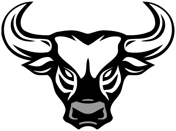 North Country High School Logo