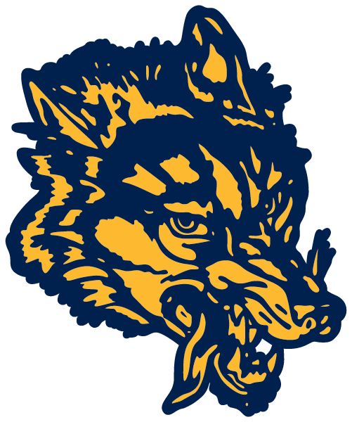 Clarkston High School Logo