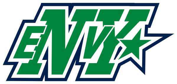 Buffalo Envy Allstar Cheerleading Logo