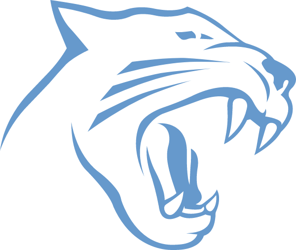 Panthers Elite Youth Football Logo