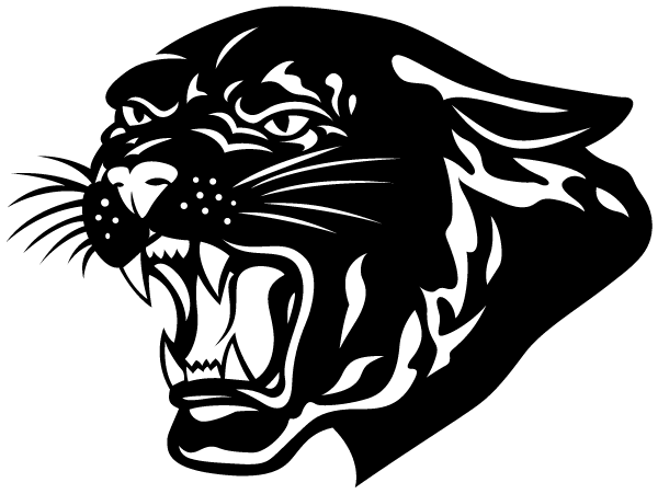 Storm Lake St. Mary's Logo