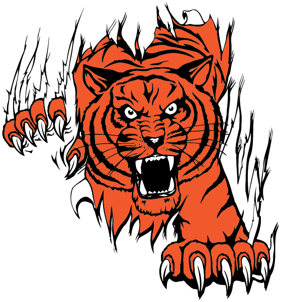 Texas Tigers Volleyball Club Logo