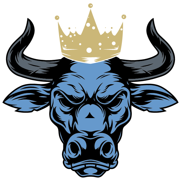 CT Youngbullz Logo
