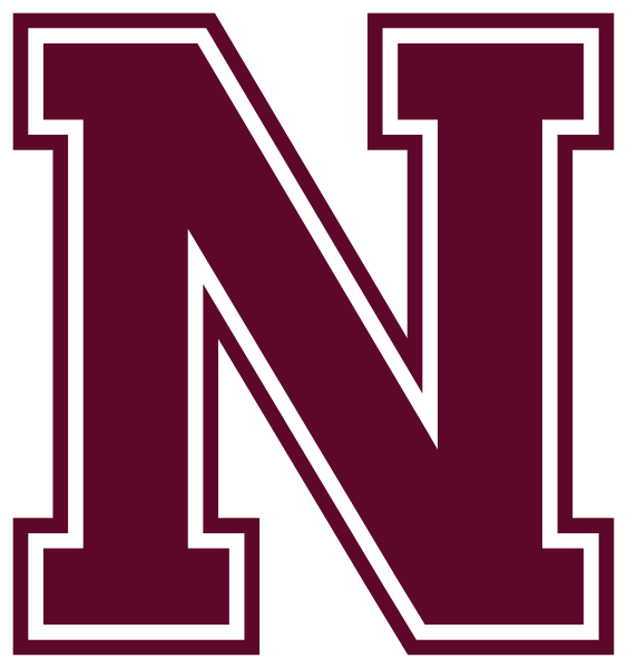 Nikolaevsk School Logo