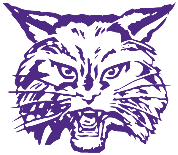 Wilmington School District 209u Logo