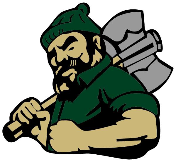 Boyne Falls Public High School Logo