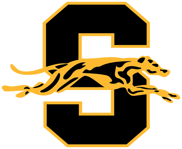 Salem High School Logo