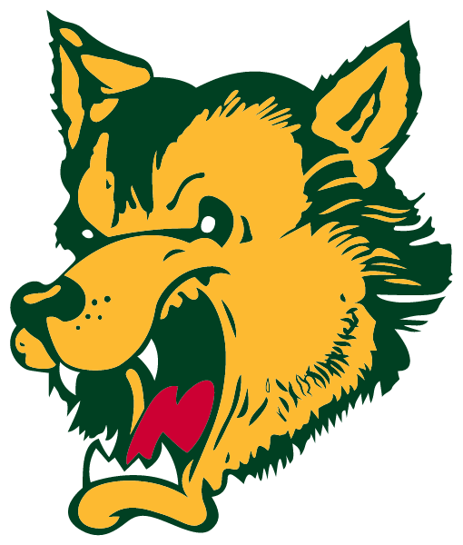 Carney-nadeau High School Logo