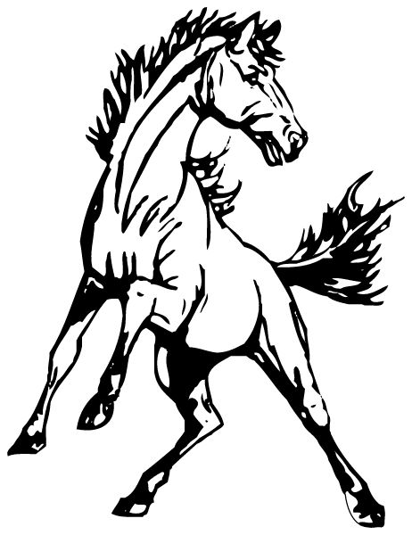 Esmeralda County School Sideline Store Mustangs (GOLDFIELD, NEVADA) Spirit Apparel & Accessories Store