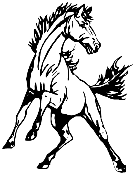 Esmeralda County School Logo