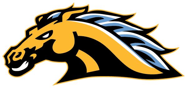 Spring Valley Academy Sideline Store Stallions (CENTERVILLE, OHIO) Spirit Apparel & Accessories Store