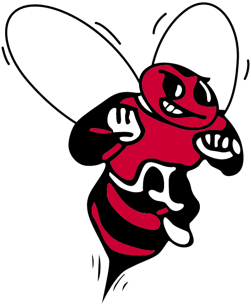 Baldwinsville High School Logo