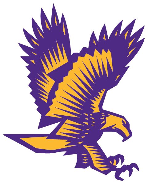 Downsville Central High School Sideline Store Eagles (DOWNSVILLE, NEW YORK) Spirit Apparel & Accessories Store