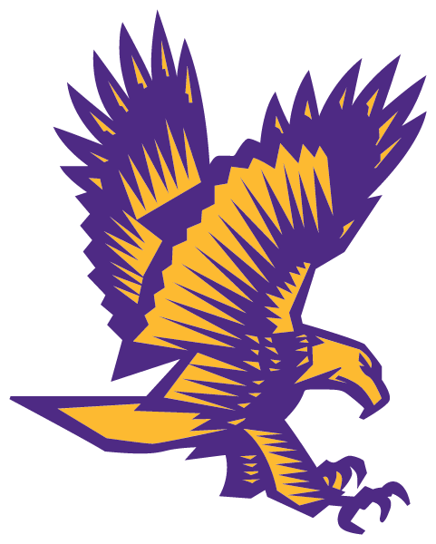Downsville Central High School Logo