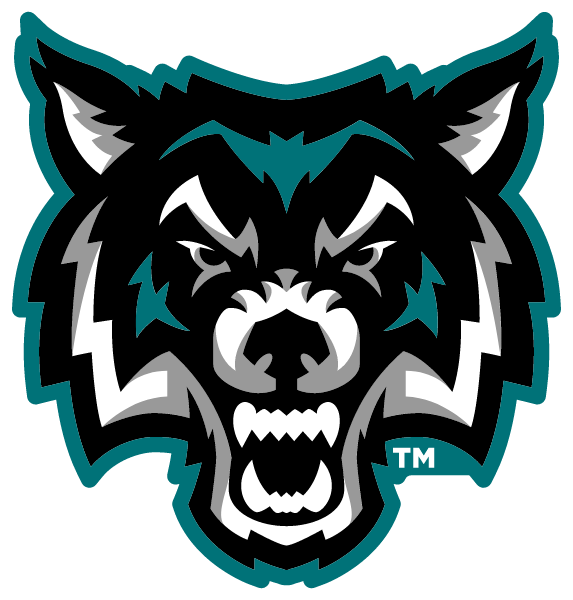 Arkport Canaseraga High School Logo