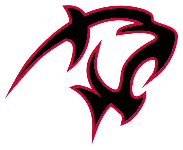 Norton City School District Logo