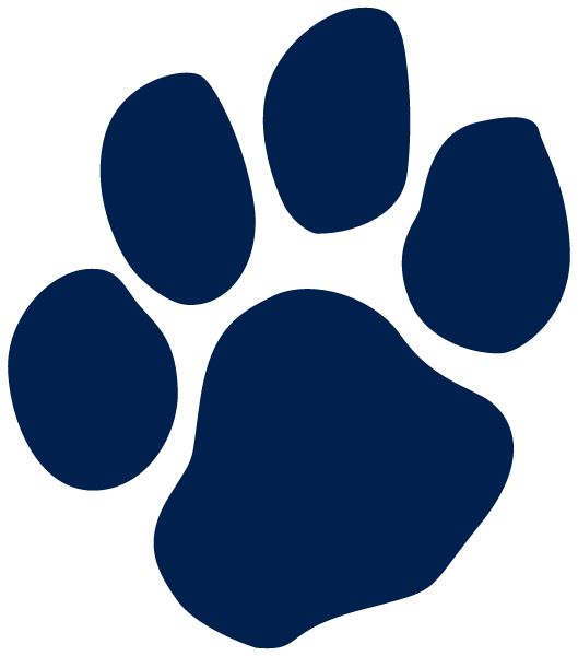 Saint Basil Academy High School Sideline Store Panthers (JENKINTOWN, PENNSYLVANIA) Spirit Apparel & Accessories Store