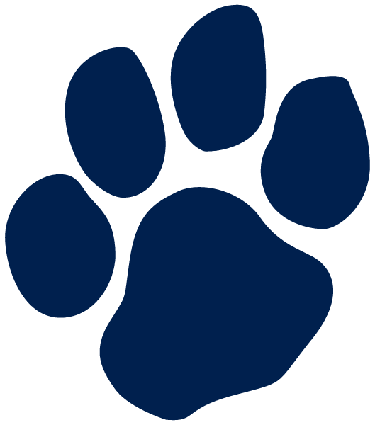 Saint Basil Academy High School Logo