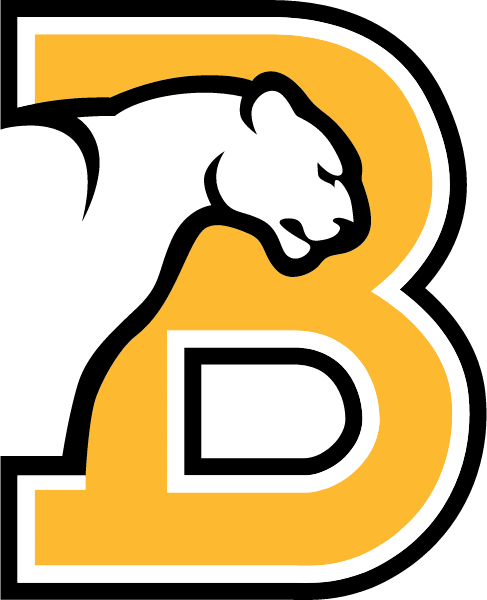 Birmingham Southern College Logo