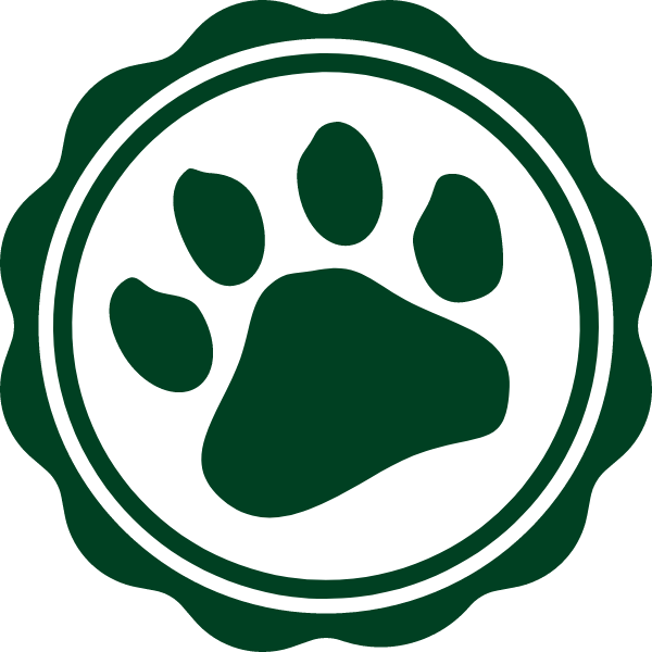 Georgetown Visitation Logo