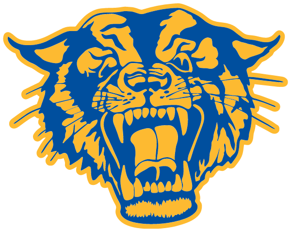 Raymondville Independent School District Logo