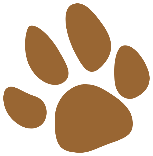 Central Christian Academy Logo