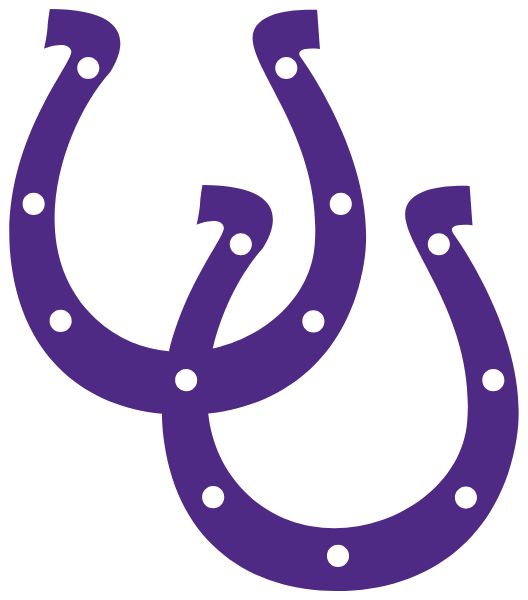 Martins Ferry Civics Sideline Store Purple Riders (MARTINS FERRY, OHIO) Spirit Apparel & Accessories Store