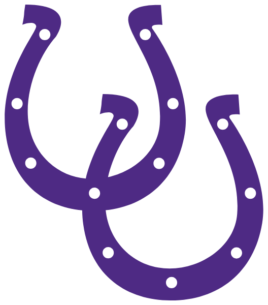 Martins Ferry Civics Logo