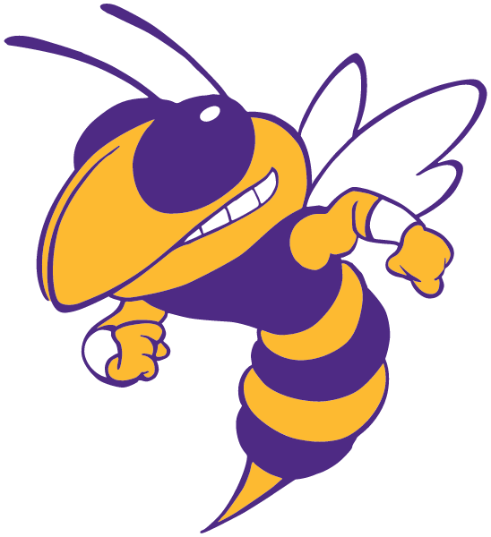 Branchville High School Logo