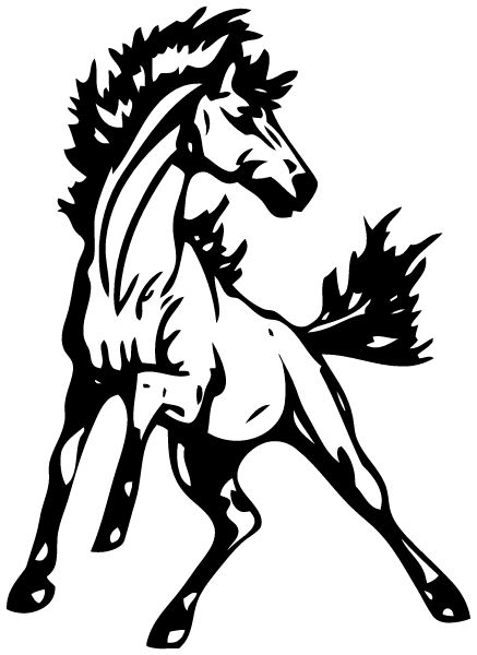 Alburgh Community Education Center Sideline Store Mustangs (ALBURGH, VERMONT) Spirit Apparel & Accessories Store