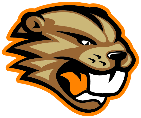 Brookfield Central High School Logo