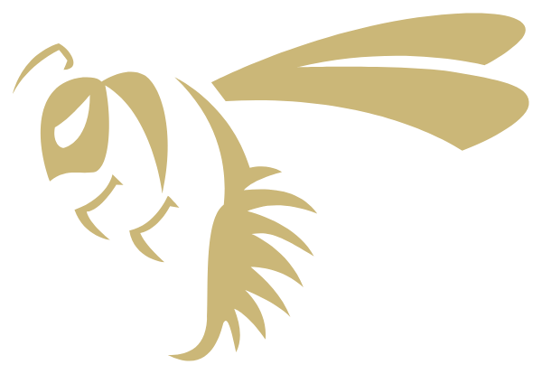 Meridian High School Logo