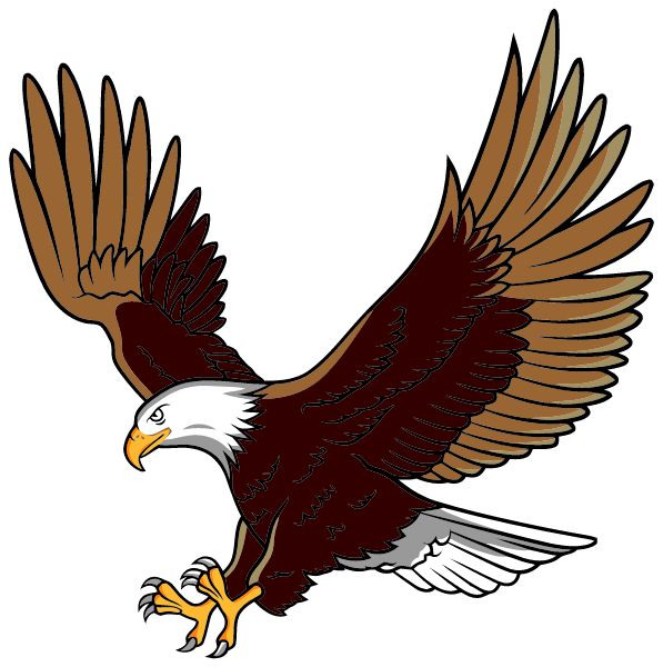 Newburg High School Sideline Store Eagles (NEWBURG, NORTH DAKOTA) Spirit Apparel & Accessories Store