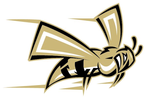 Mineral Springs School District Sideline Store Hornets (MINERAL SPRINGS, ARKANSAS) Spirit Apparel & Accessories Store