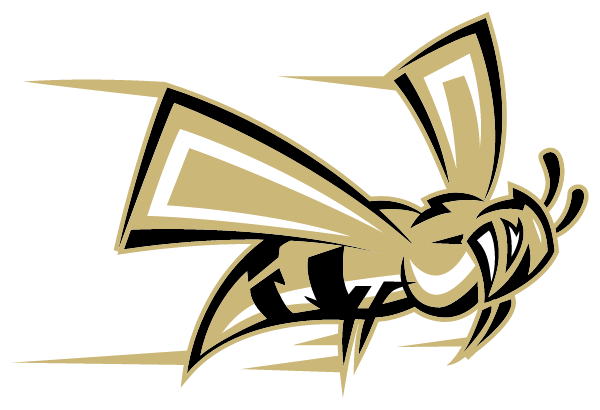 Mineral Springs School District Logo