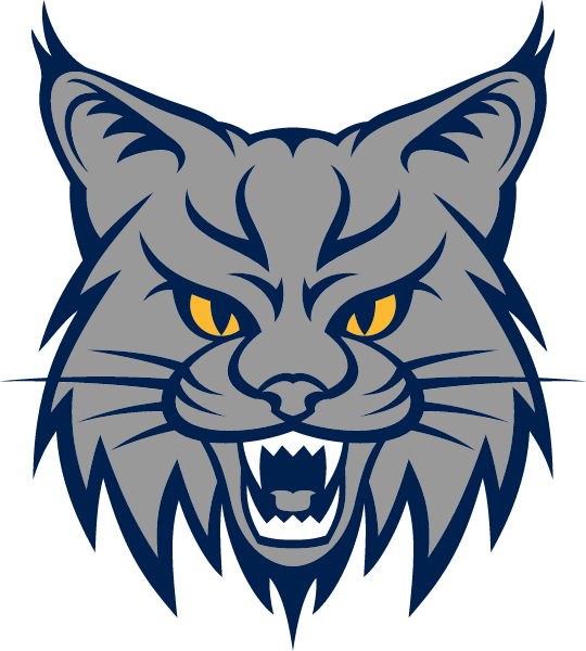 Lakeview High School Logo