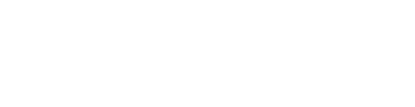 German International School New York Logo