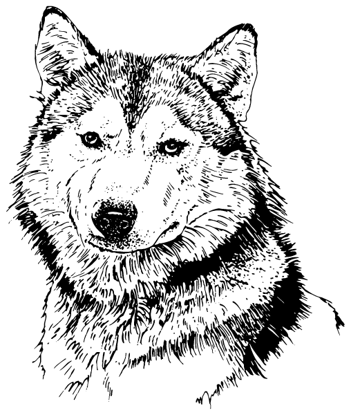 Koliganek High School Logo