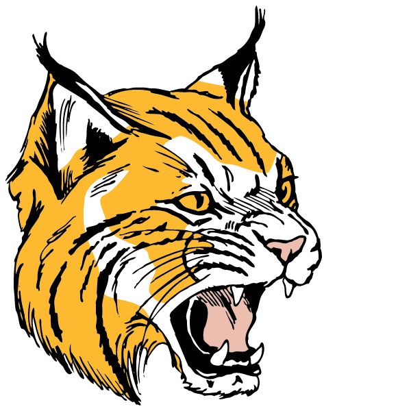 Northwestern High School Sideline Store Wildcats (PALMYRA, ILLINOIS) Spirit Apparel & Accessories Store