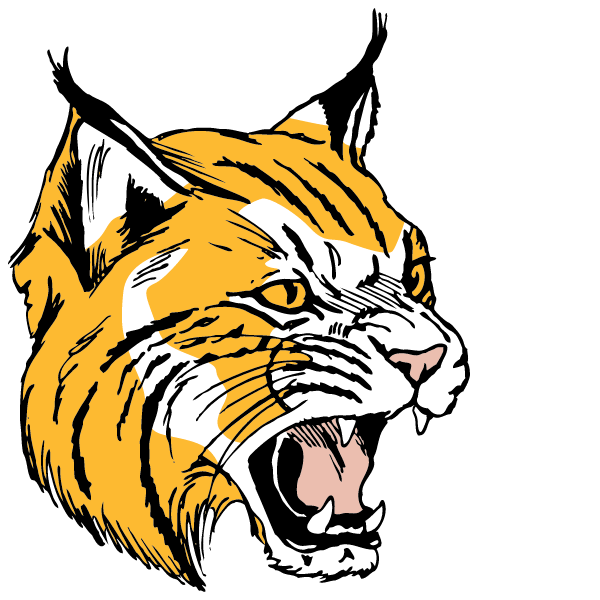 Northwestern High School Logo