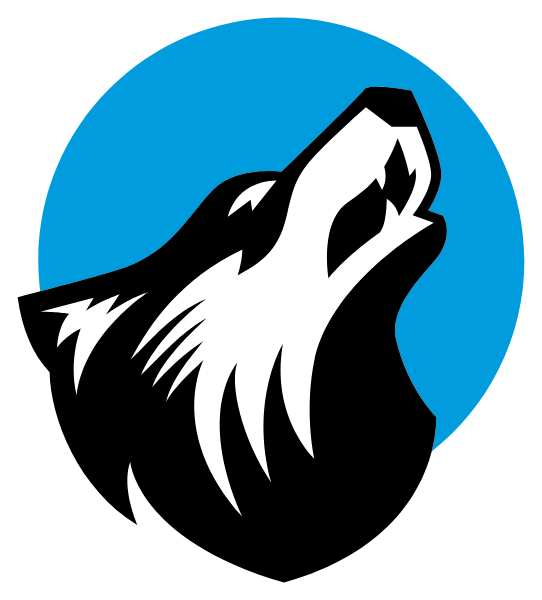 Soto High School Logo