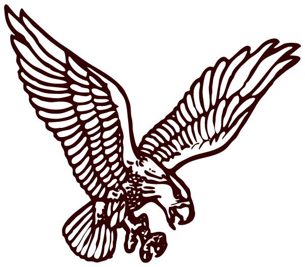 The Fletcher Academy Sideline Store Falcons (RALEIGH, NORTH CAROLINA) Spirit Apparel & Accessories Store