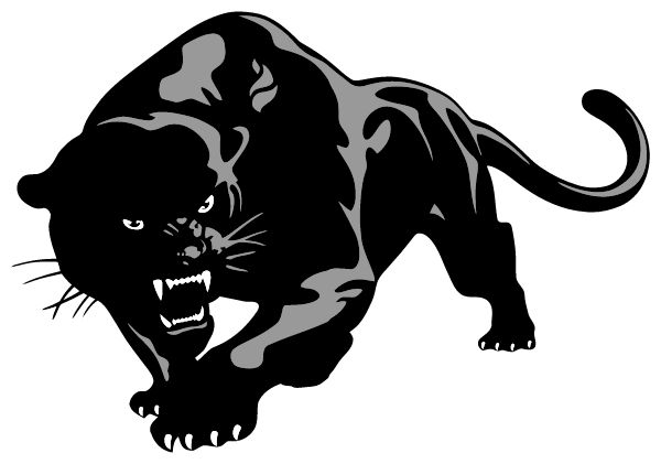 Our Lady Of The Elms Sideline Store Panthers (AKRON, OHIO) Spirit Apparel & Accessories Store