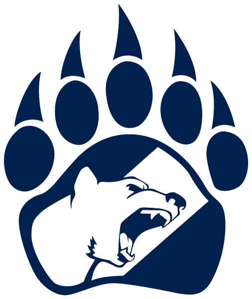 Aurora Borealis School Logo