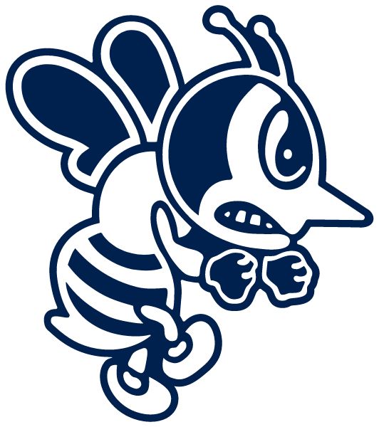 St. Ambrose University Sideline Store Fighting Bees (DAVENPORT, IOWA) Spirit Apparel & Accessories Store