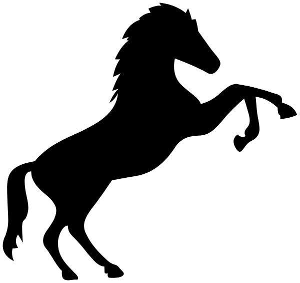 Shawnee Mission Christian School Logo