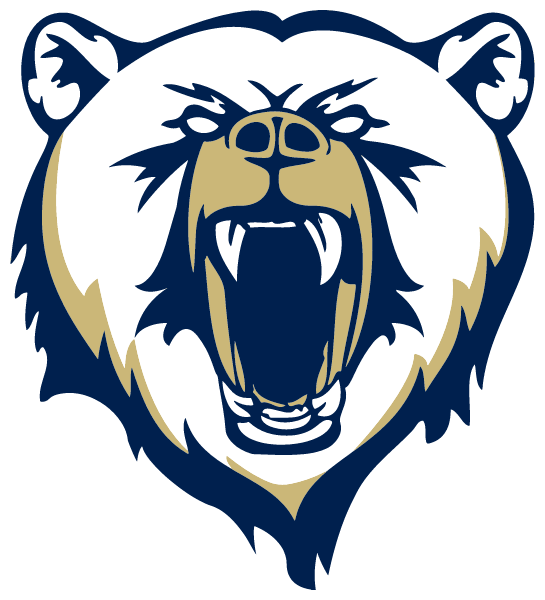 Spring Valley High School Logo